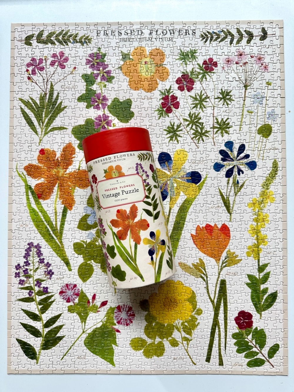 Cavallini & Co. Pressed Flowers Vintage Puzzle 1,000 pieces